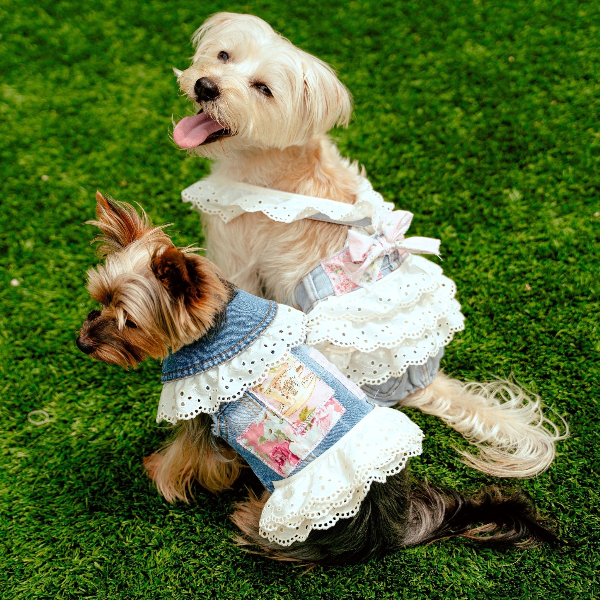 Patchwork Collection  Heads or Tails Pup