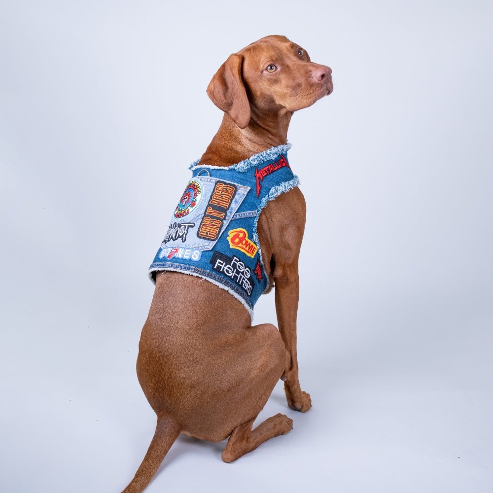 Rocker Harness 2.0
