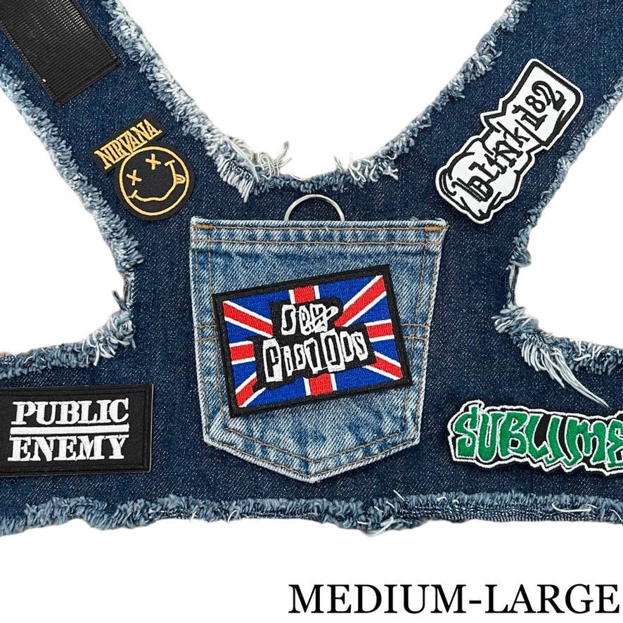 Pistols Harness
