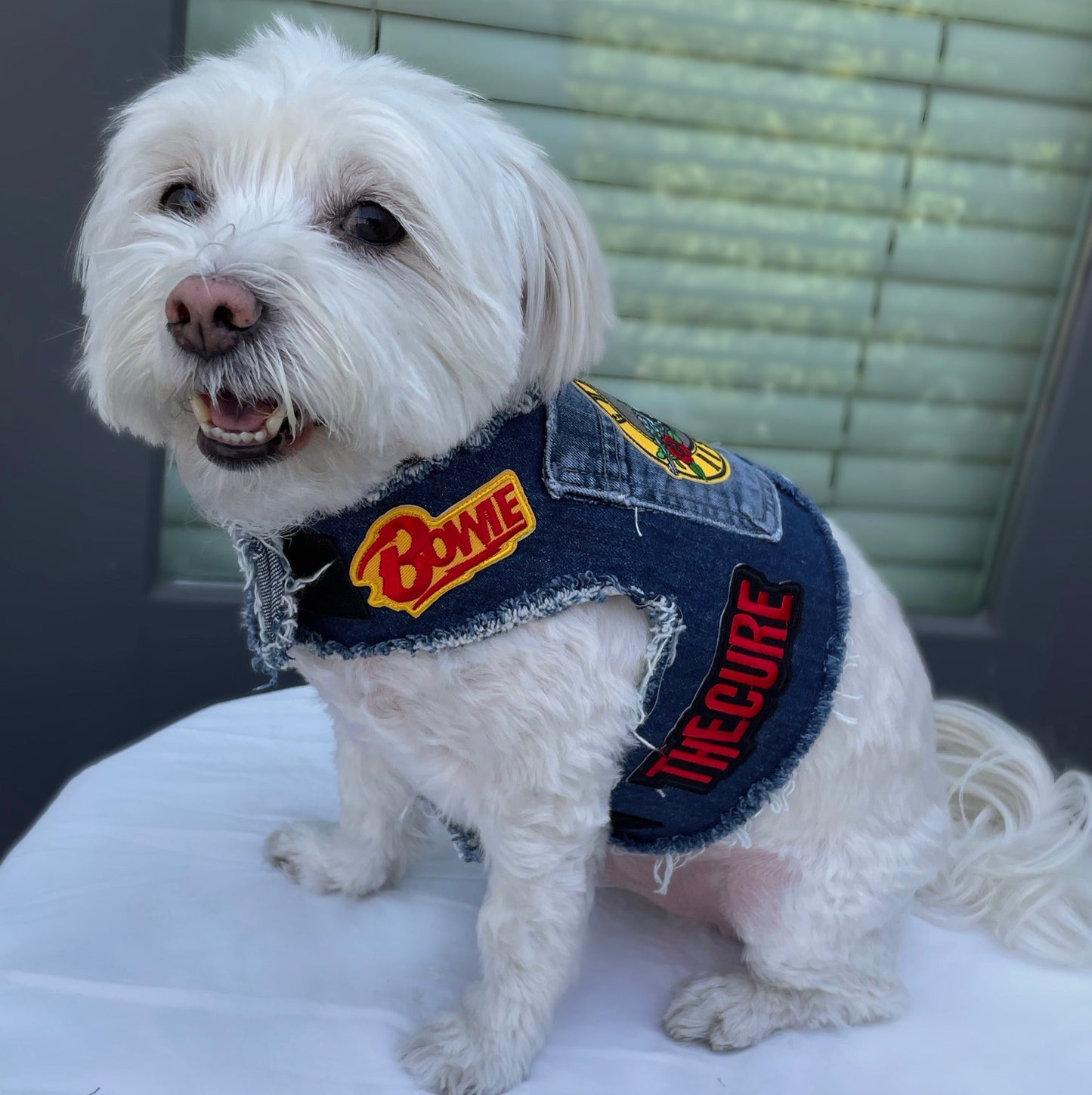 The Who Harness
