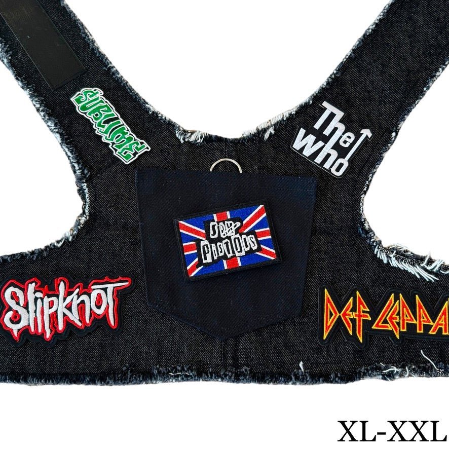Pistols Harness