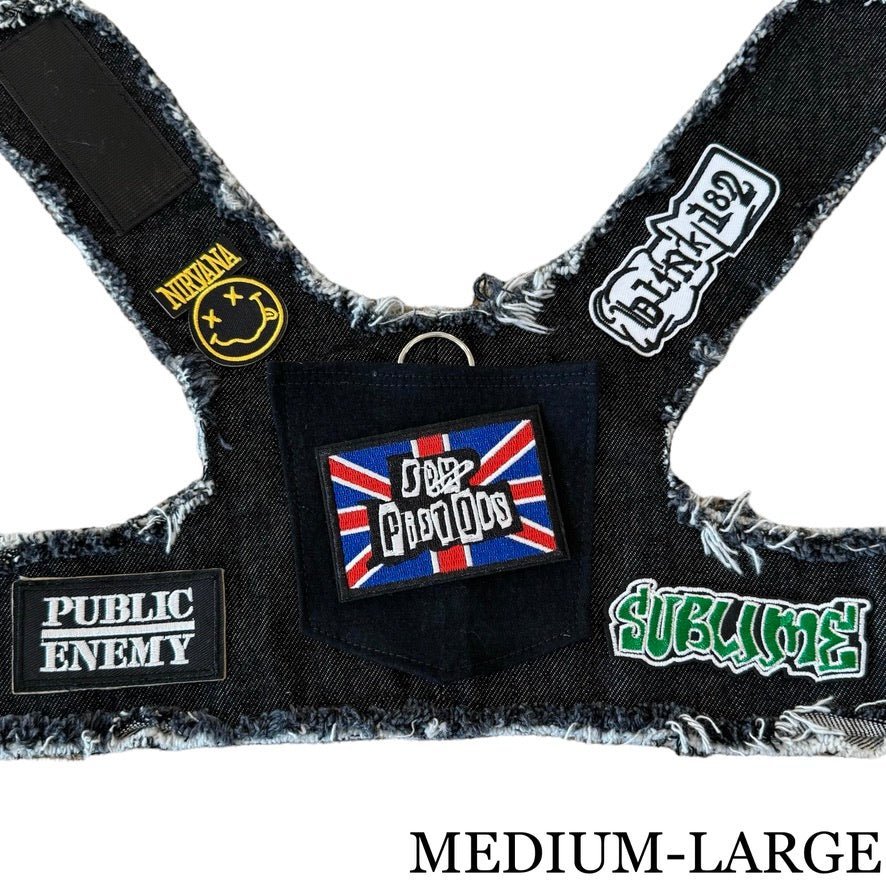 Pistols Harness