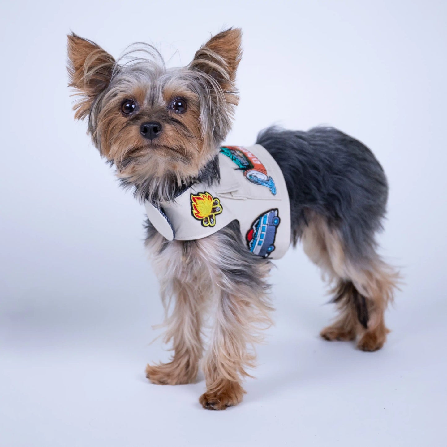 Camp Harness