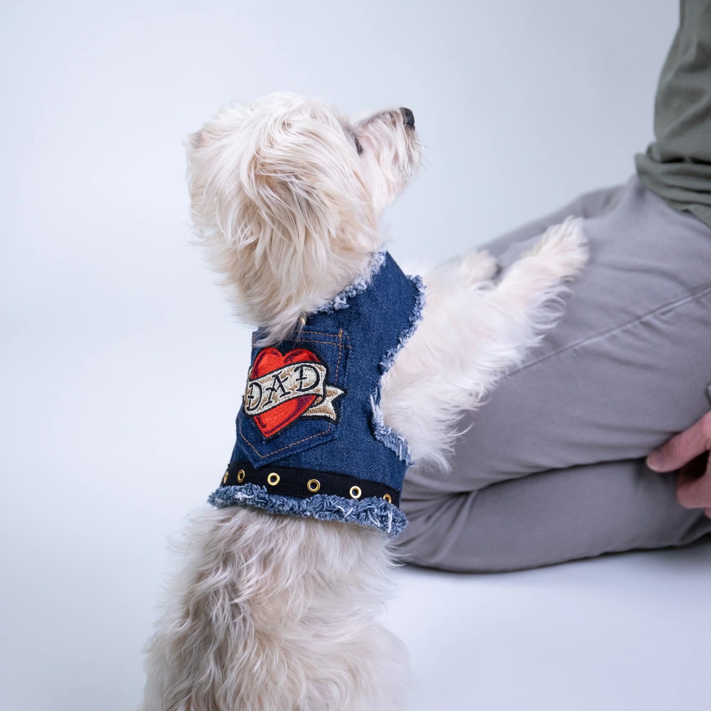 LOVE DAD Harness