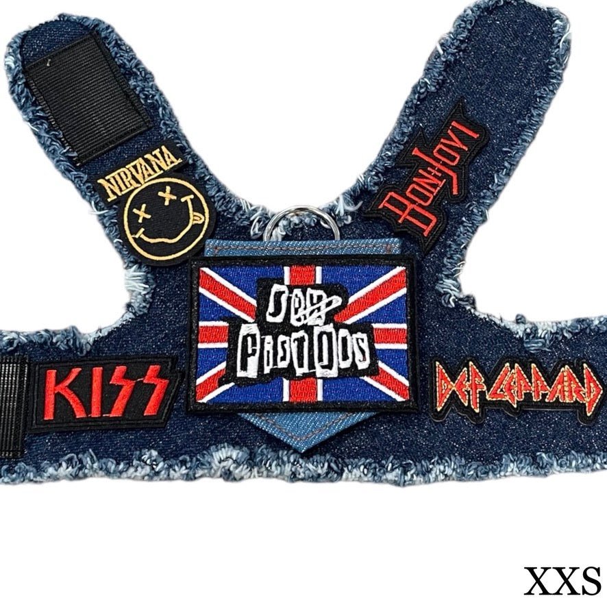 Pistols Harness