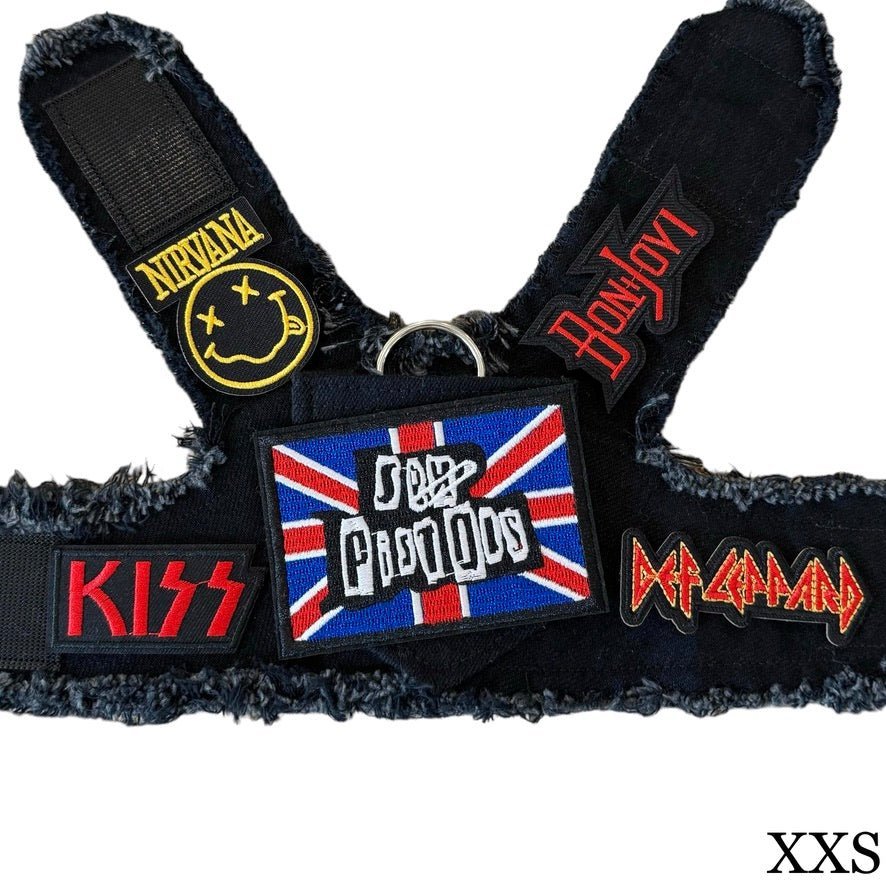 Pistols Harness