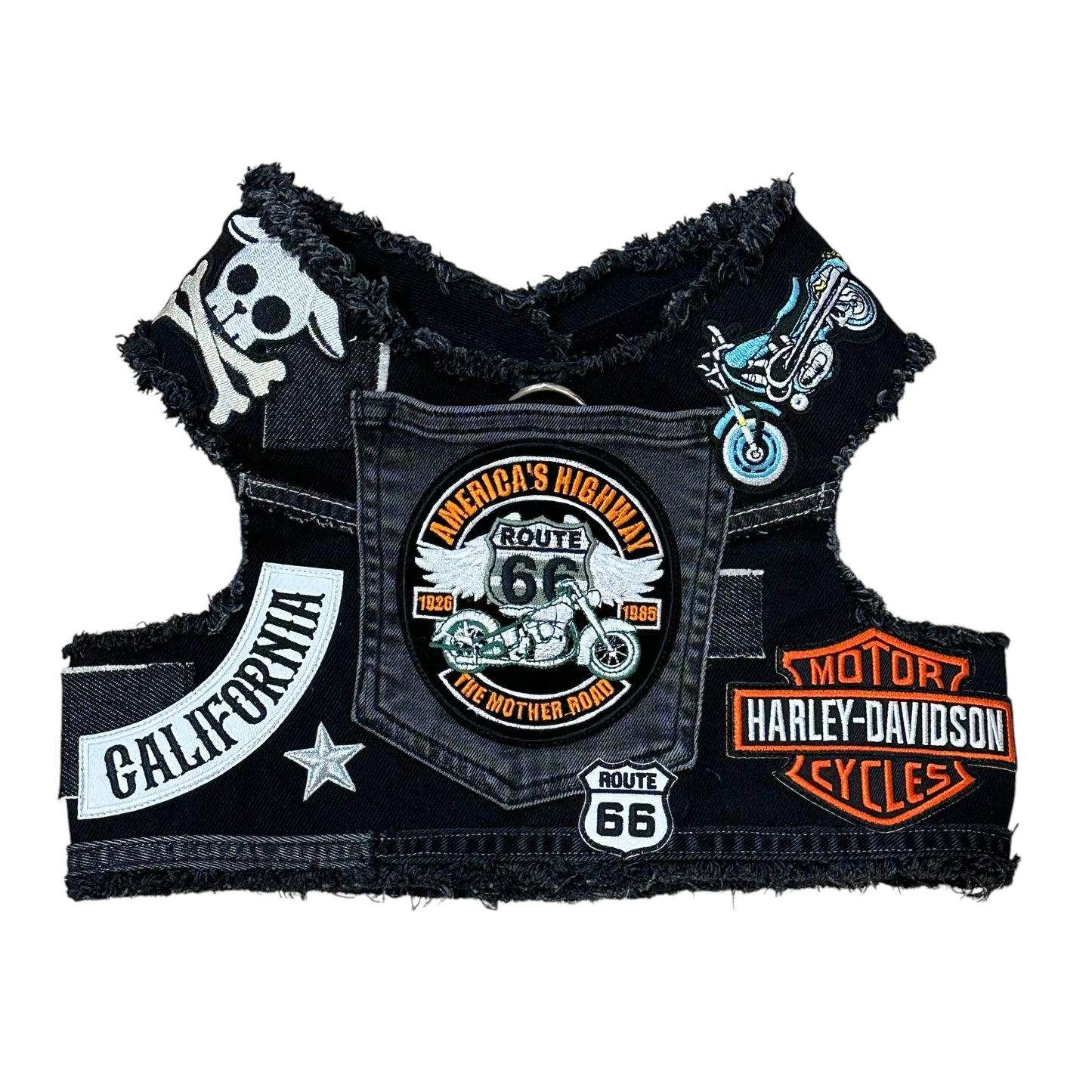Biker 2.0 Harness