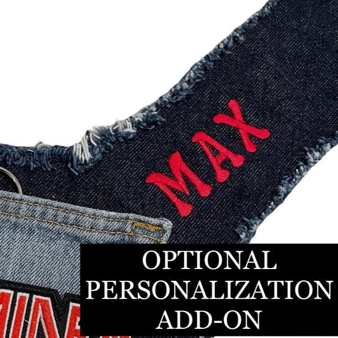 Ski Lodge Harness