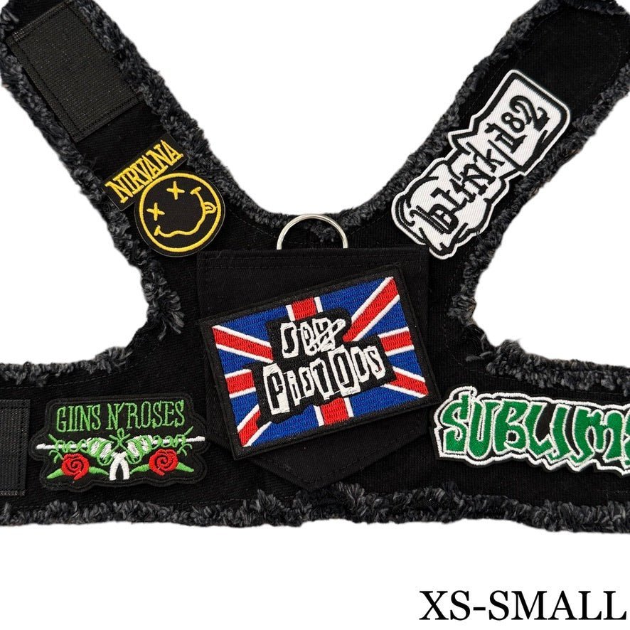 Pistols Harness