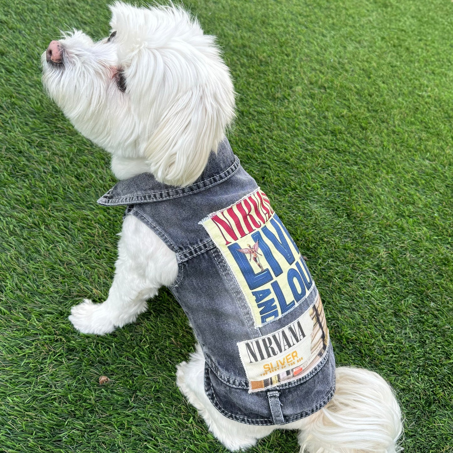 Artwork Vest
