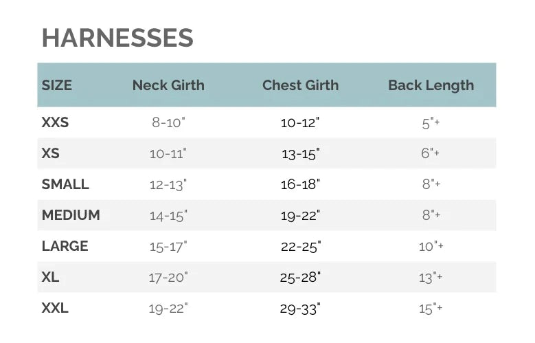 Rolling Stones Harness