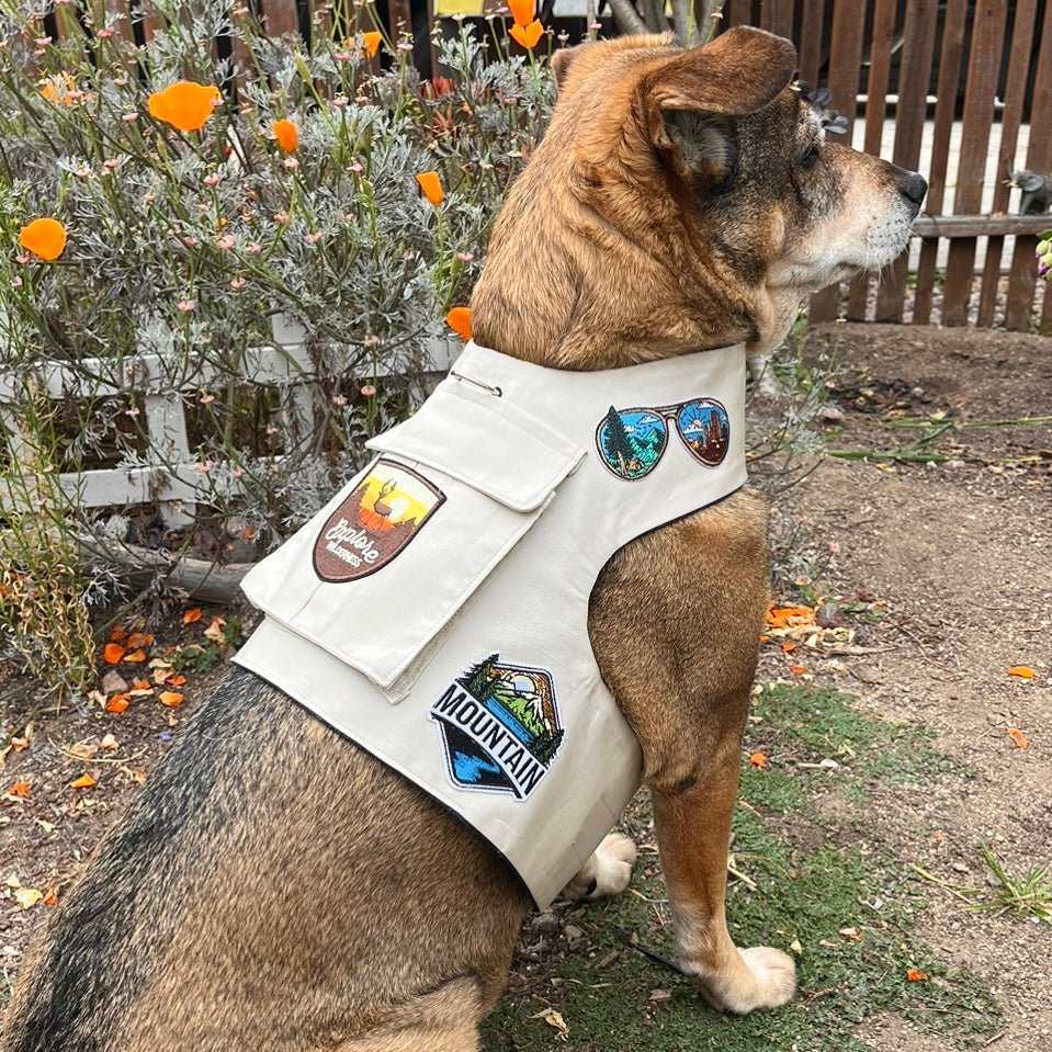 Camp Harness