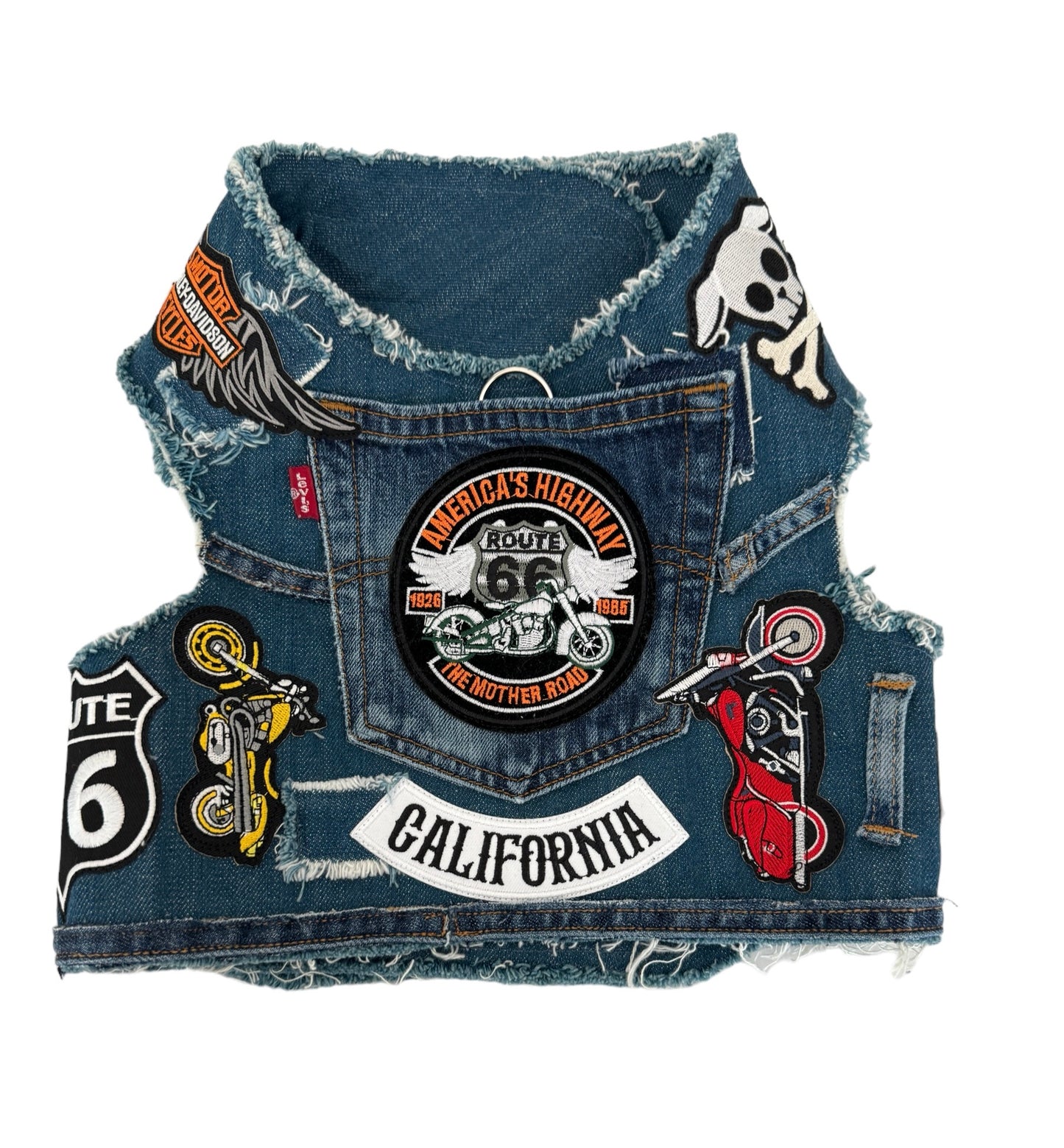 Biker 2.0 Harness