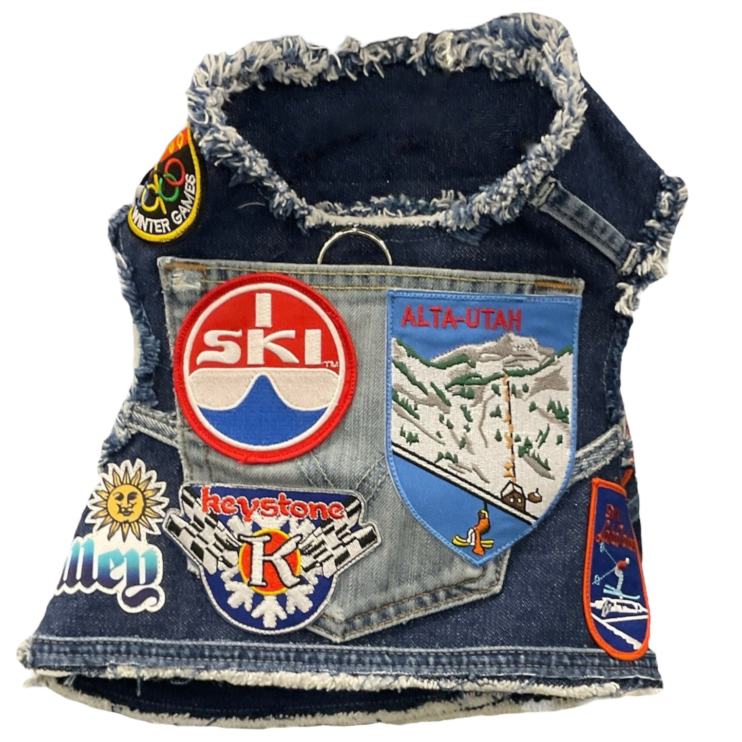 Ski Lodge Harness