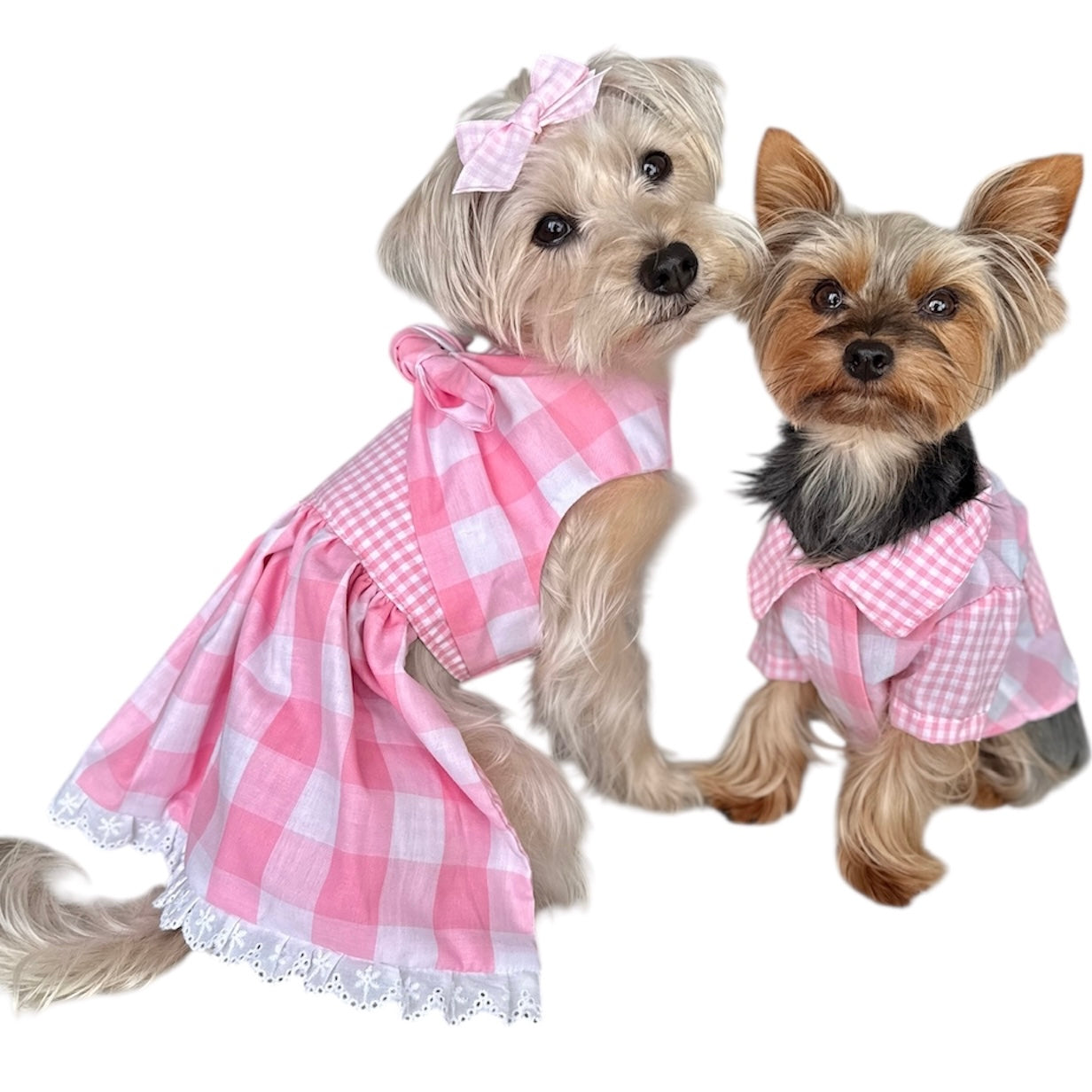 Gingham Picnic Shirt