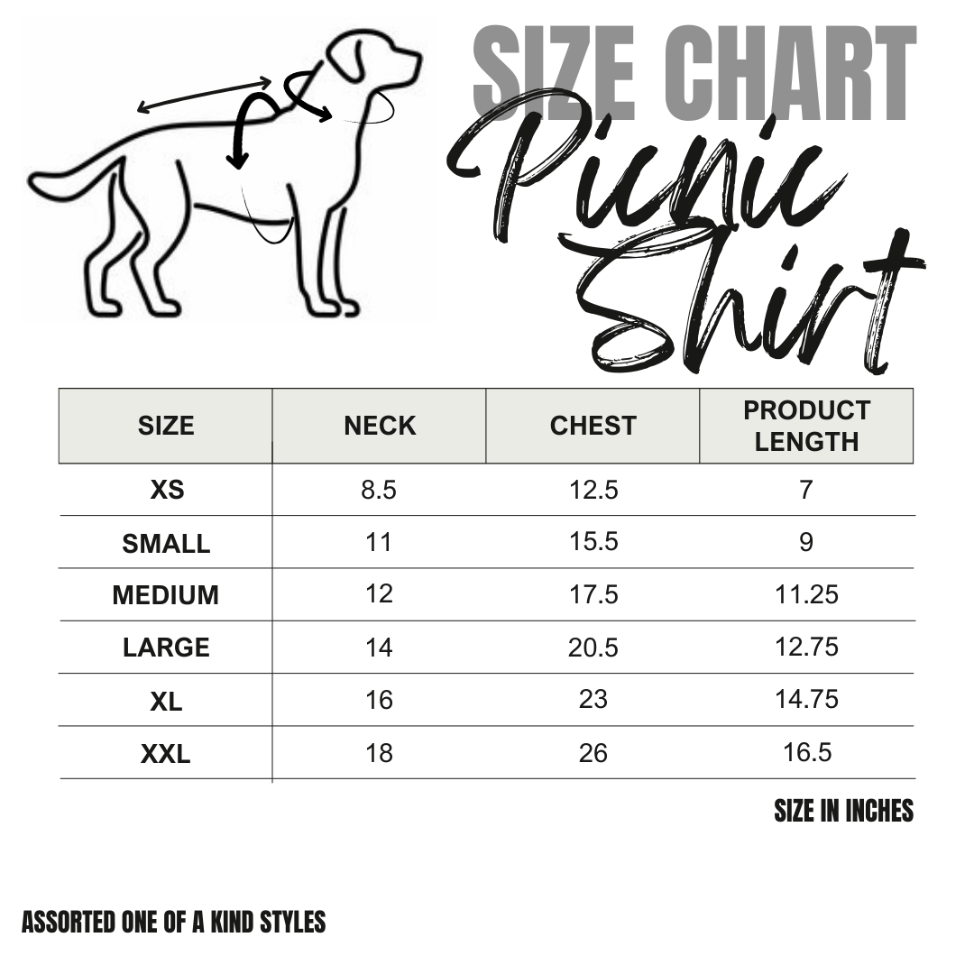 Gingham Picnic Shirt