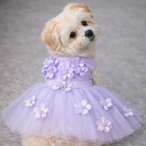 Purple Ceremony Dress – Heads or Tails Pup