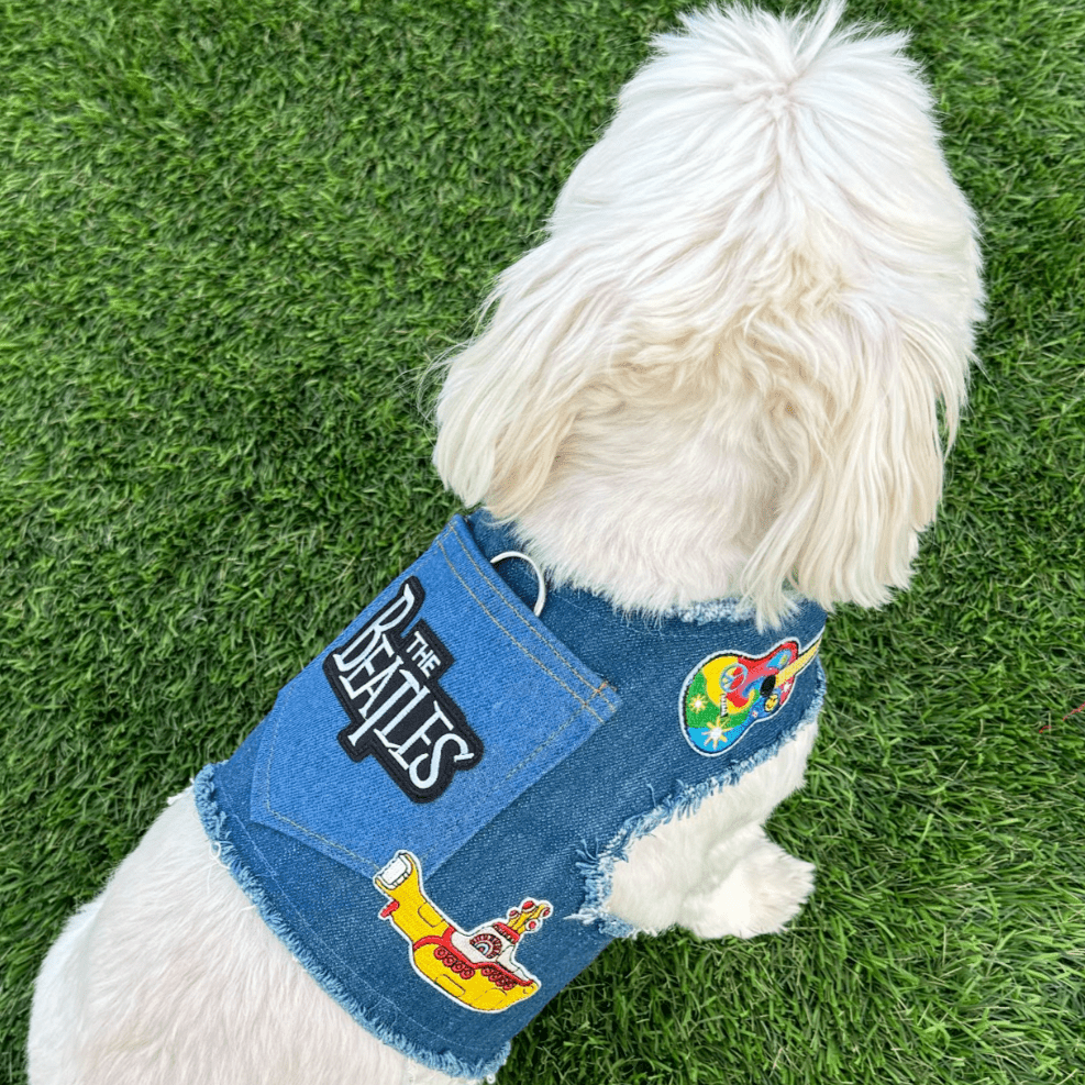 Fab Four Harness
