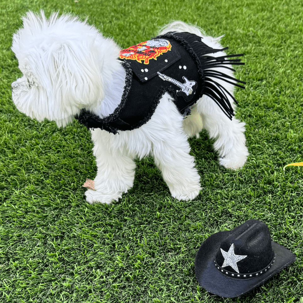 Johnny Cash Harness