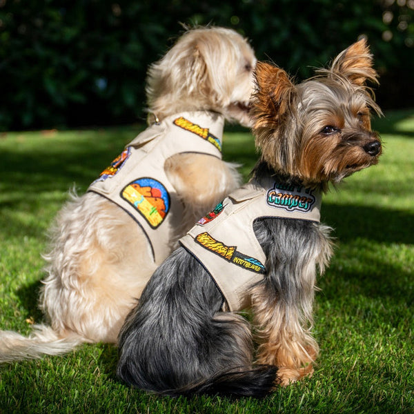 Camping and Glamping Collection