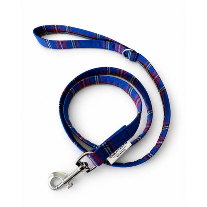 A blue plaid dog leash with a silver metal clasp, coiled on a white background. The plaid pattern features blue, purple, red, and white stripes.