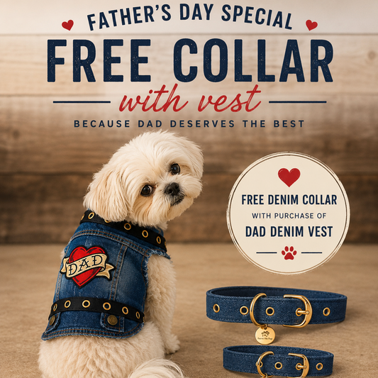 Love Dad Vest