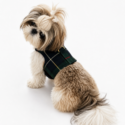 A small fluffy dog wearing a dark green plaid harness, photographed from behind against a clean white background.