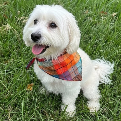 Fireside Plaid Bandana