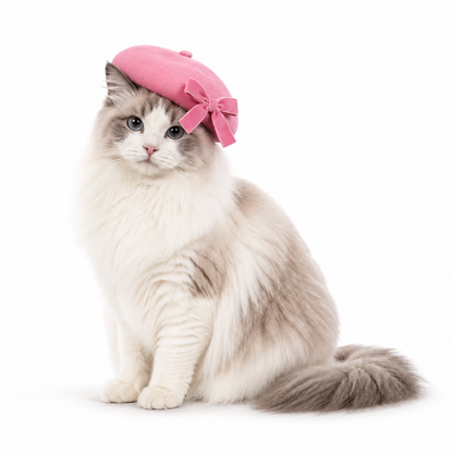 Beret with Bow