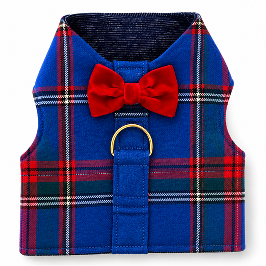 A small dog harness vest in a royal blue and red tartan plaid pattern, featuring a red velvet bow tie at the collar and a gold metal ring closure on the front.