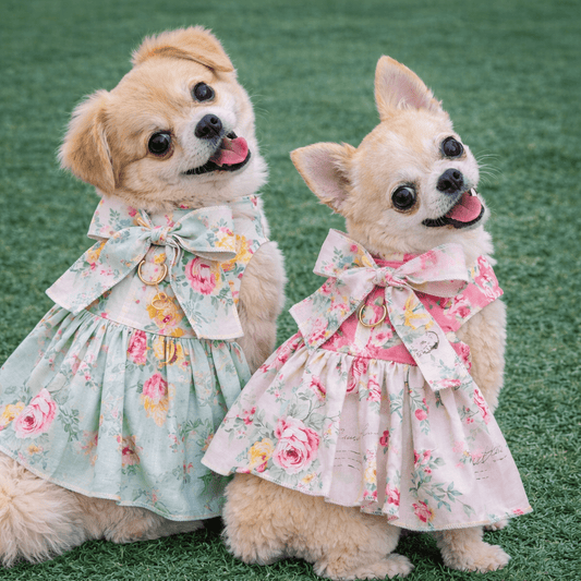 Two small dogs wearing floral dresses standing on grass.