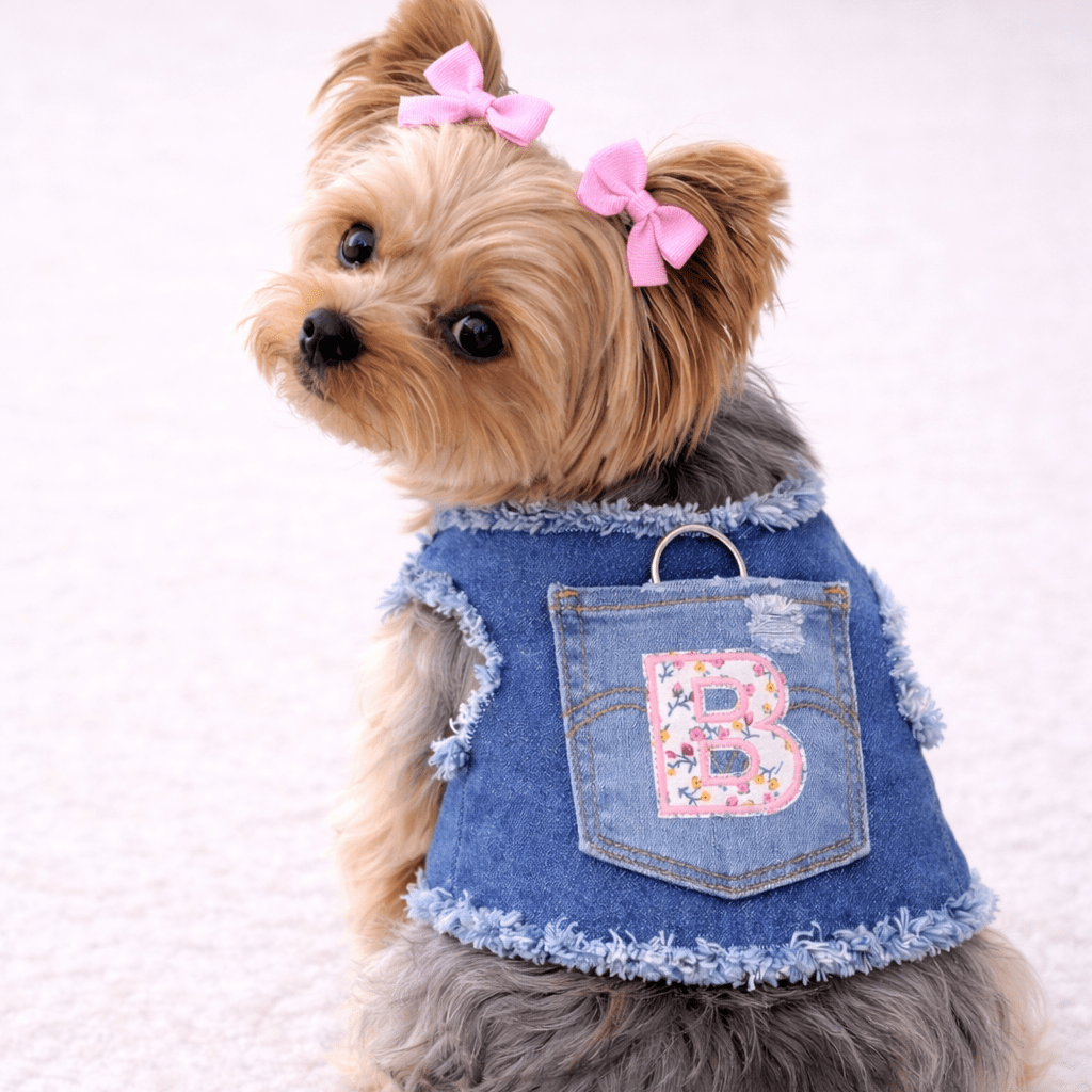 Charming Initial Harness