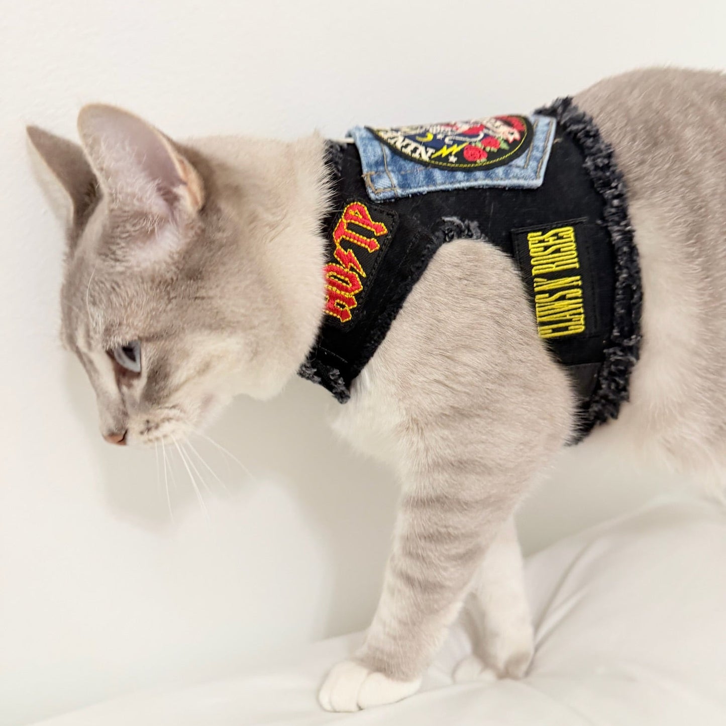 A gray cat wearing a denim and black patchwork pet harness with embroidered patches, standing on a white surface against a white wall.