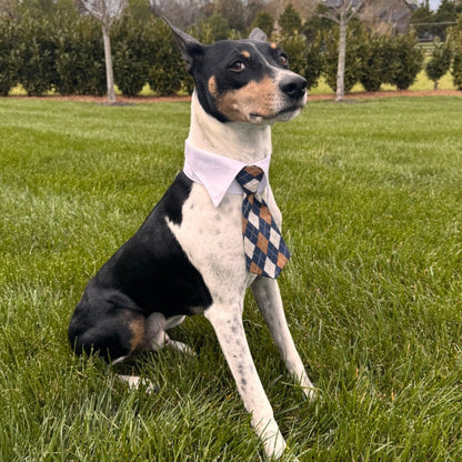 Vineyard Collar Tie