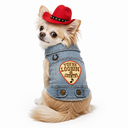 Cowboy Hat