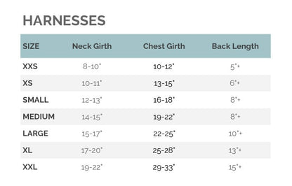 Football Harness - Kansas City