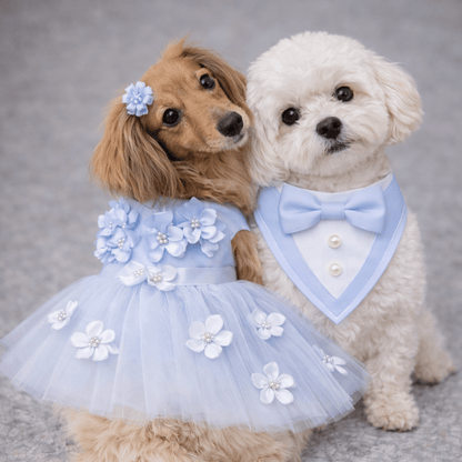 Blue Ceremony Tuxedo Bandana