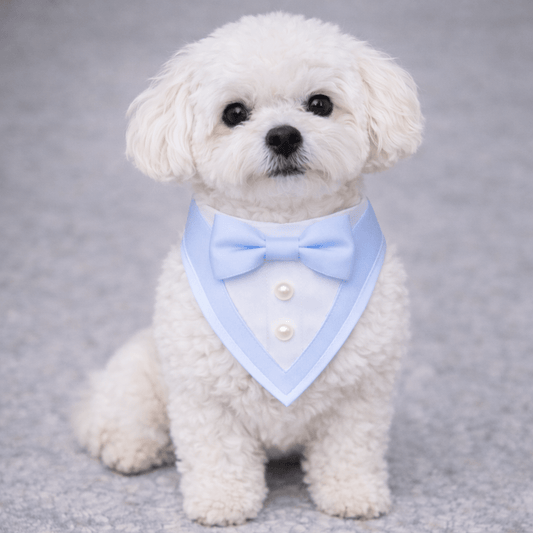 Blue Ceremony Tuxedo Bandana