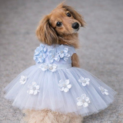 Blue Ceremony Dress