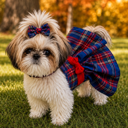 A small fluffy dog standing on grass outdoors, wearing a blue plaid pet dress with a large red bow and a matching blue plaid bow on its head.
