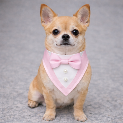 The Ceremony Bandana- Luxury Satin Tuxedo Dog