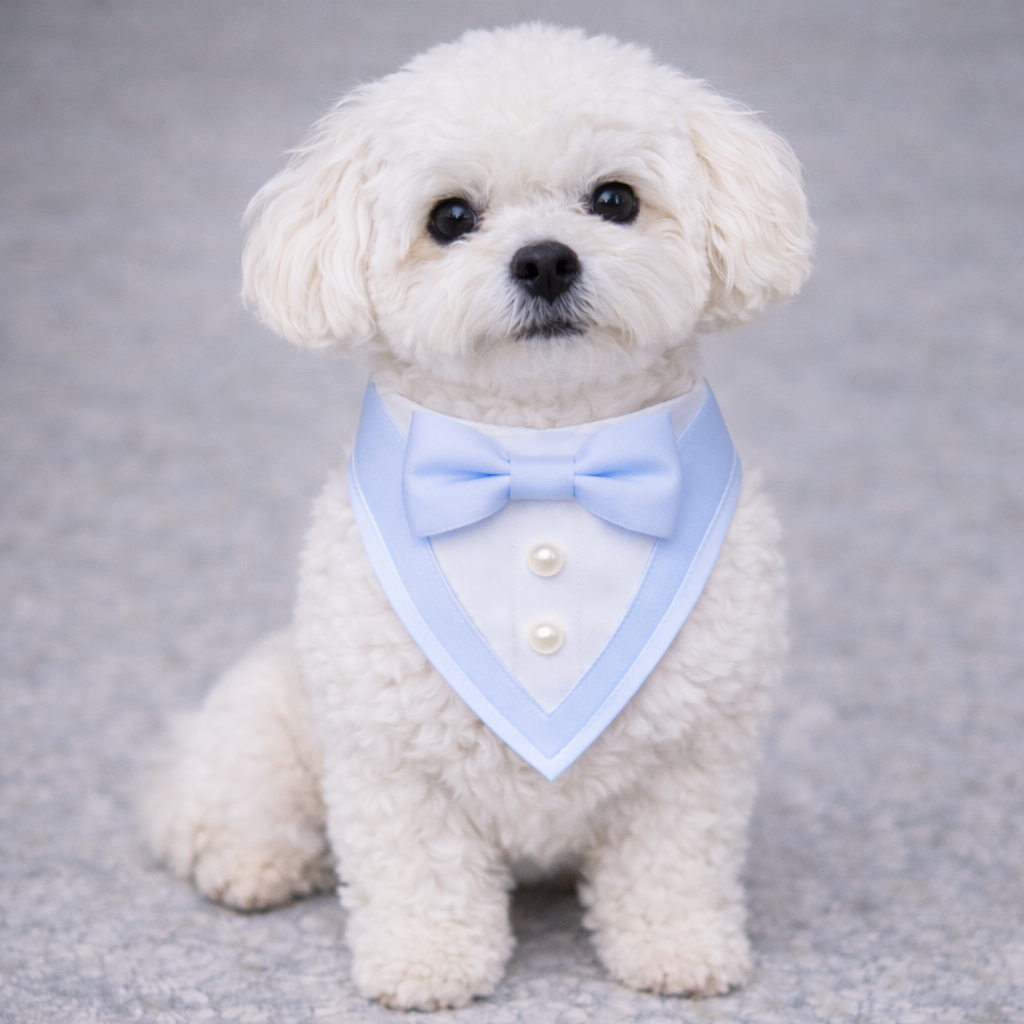 The Ceremony Bandana- Luxury Satin Tuxedo Dog
