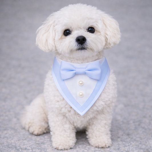 The Ceremony Bandana- Luxury Satin Tuxedo Dog