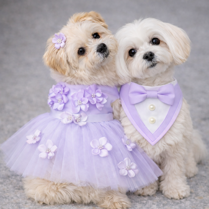 The Ceremony Bandana- Luxury Satin Tuxedo Dog