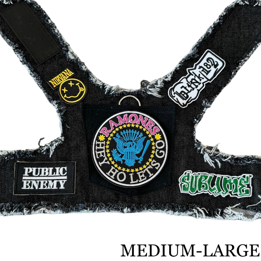 Ramones Harness