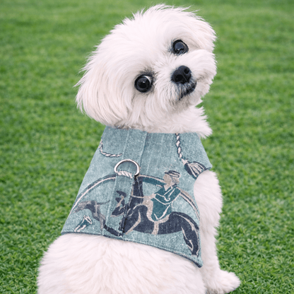 Small white dog wearing a denim harness with horse design on grass