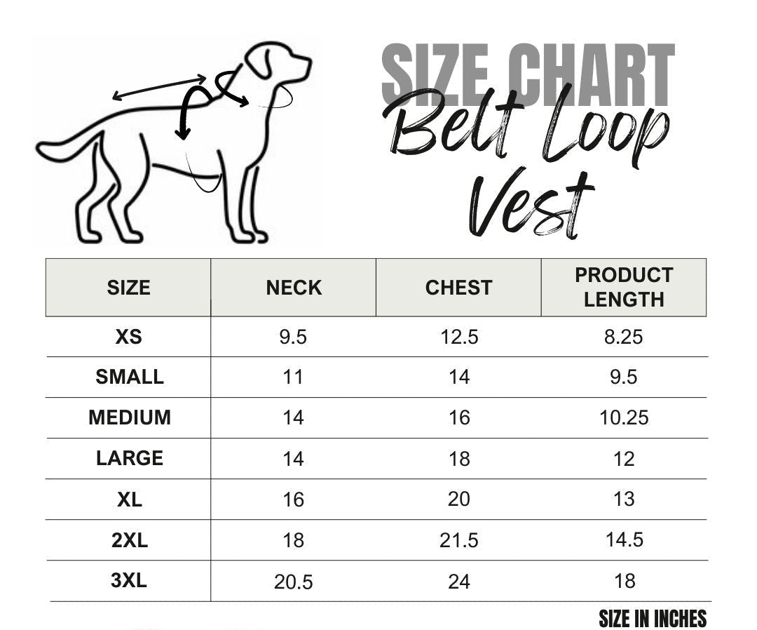 Size chart for a belt loop vest with measurements in inches.
