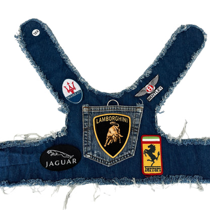 Exotic VINTAGE Car Harness