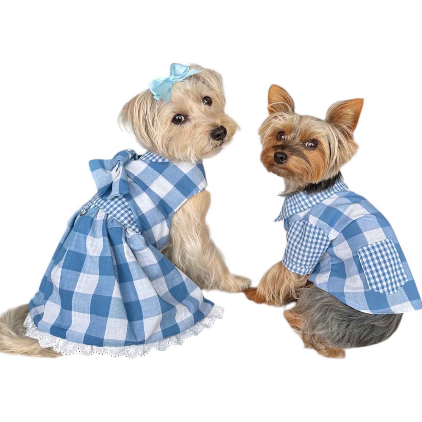 Gingham Picnic Shirt