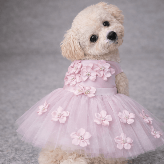 Pink Ceremony Dress